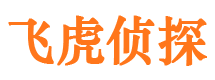 扶绥外遇调查取证